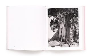 Pictures for Charis - Kelli Connell