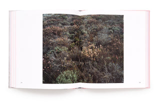 Pictures for Charis - Kelli Connell