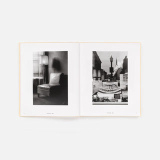 Life Still, Lee Friedlander