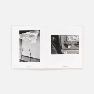 Life Still, Lee Friedlander