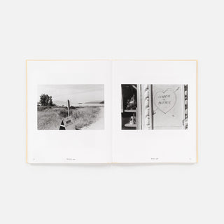 Life Still, Lee Friedlander
