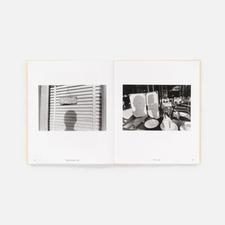 Life Still, Lee Friedlander