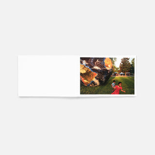 PREORDER : Alex Webb — Walking Blues