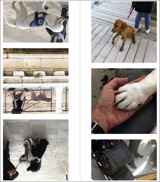 Rien de Personnel - Martin Bethenod