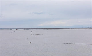 Venice and Its Lagoon: Caring for the Environment