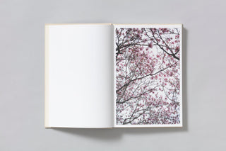 A Season Particular - Shen Wei