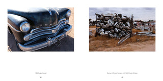 Junk, America in Ruins - Danny Lyon