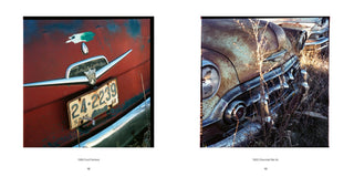 Junk, America in Ruins - Danny Lyon