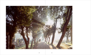 Venice and Its Lagoon: Caring for the Environment