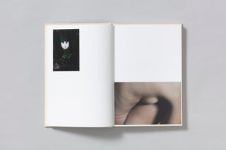 A Season Particular - Shen Wei