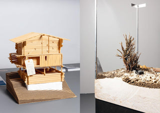 Transcalar Prospects in Climate Crisis - architectural research in re/action