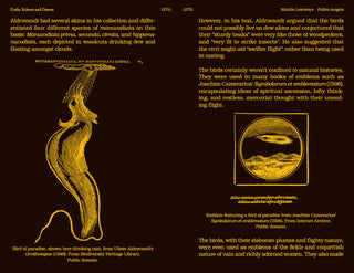 With a Bird, A Reader on Avian Kinship