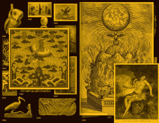 With a Bird, A Reader on Avian Kinship