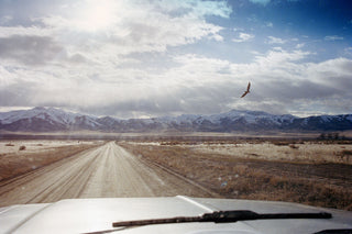 Failing - Michael Brodie