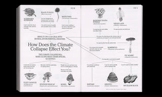 Let's Become Fungal!