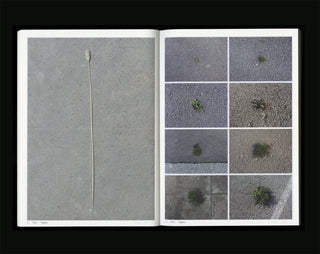 Book Of Plants (new edition) - Anne Geene