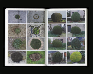 Book Of Plants (new edition) - Anne Geene