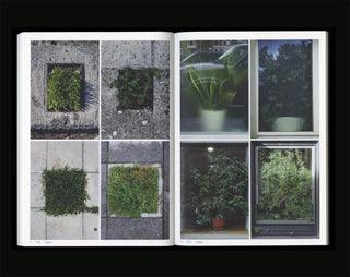 Book Of Plants (new edition) - Anne Geene