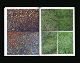 Book Of Plants (new edition) - Anne Geene