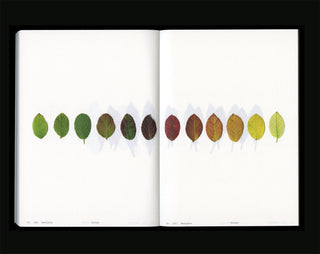 Book Of Plants (new edition) - Anne Geene
