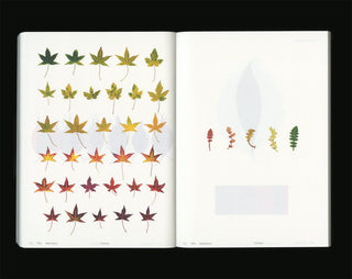Book Of Plants (new edition) - Anne Geene