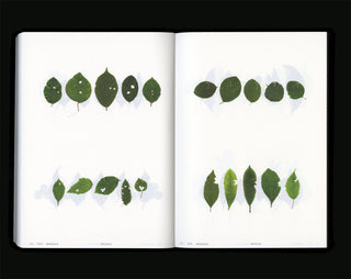 Book Of Plants (new edition) - Anne Geene