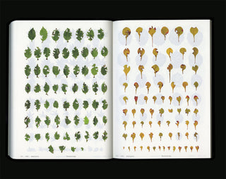 Book Of Plants (new edition) - Anne Geene