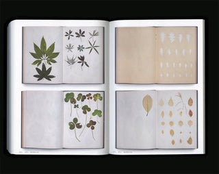 Book Of Plants (new edition) - Anne Geene