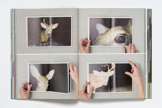 As Far As You Can See - Erik Kessels