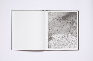 Borderland -  Filippo Barbero