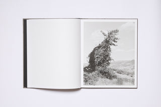 Borderland -  Filippo Barbero
