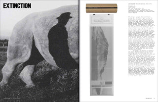 FLASHPOINT! Protest Photography in Print, 1950-Present