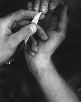 Jasper - Matthew Genitempo