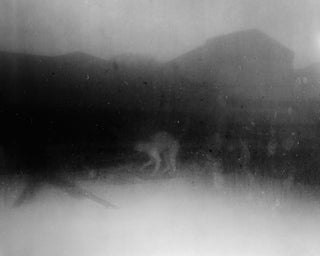 Jasper - Matthew Genitempo