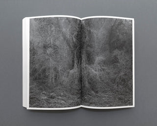 Works for a Cosmic Feeling - Fabio Barile