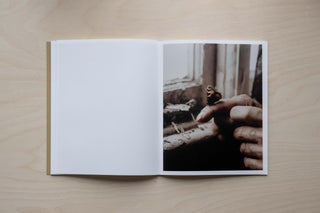 Land Loss - Max Miechowski