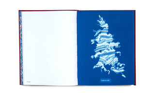Photographs of British Algae: Cyanotype Imperfections — Mandy Barker