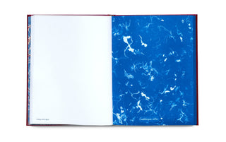 Photographs of British Algae: Cyanotype Imperfections — Mandy Barker