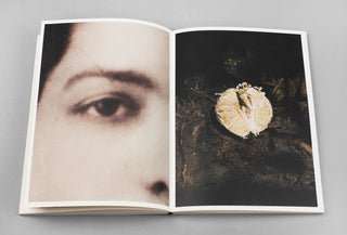 Fear Guards the Lemon Grove - Klaus Pichler
