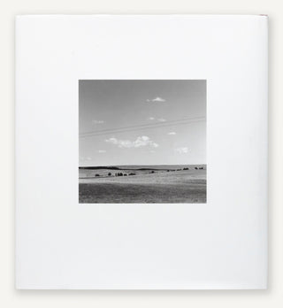 PREORDER : Robert Adams — Contact