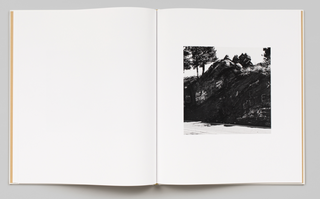 On Lookout Mountain - Robert Adams