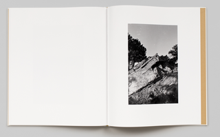 On Lookout Mountain - Robert Adams