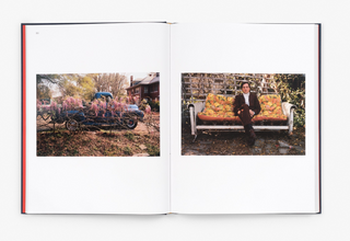 William Eggleston - The Last Dyes