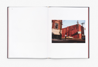 William Eggleston - The Last Dyes