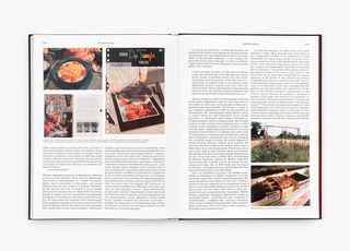 William Eggleston - The Last Dyes