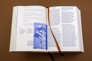 Encyclopedia of the Uncertain - Anna Püschel