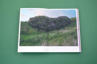 With love from an invader. - Rhododendrons, Empire, China and Me