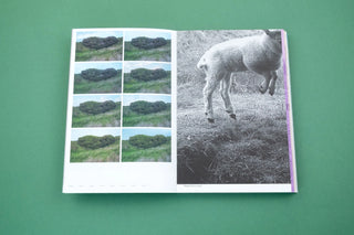 With love from an invader. - Rhododendrons, Empire, China and Me