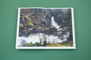 With love from an invader. - Rhododendrons, Empire, China and Me