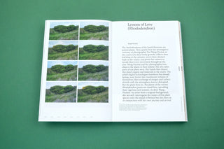 With love from an invader. - Rhododendrons, Empire, China and Me